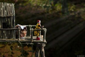 Wystawa fotografii Daniela Stachuli “KINGSAJZ”